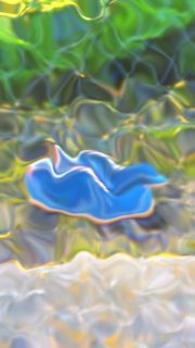 #kalfu #inway #barefoot