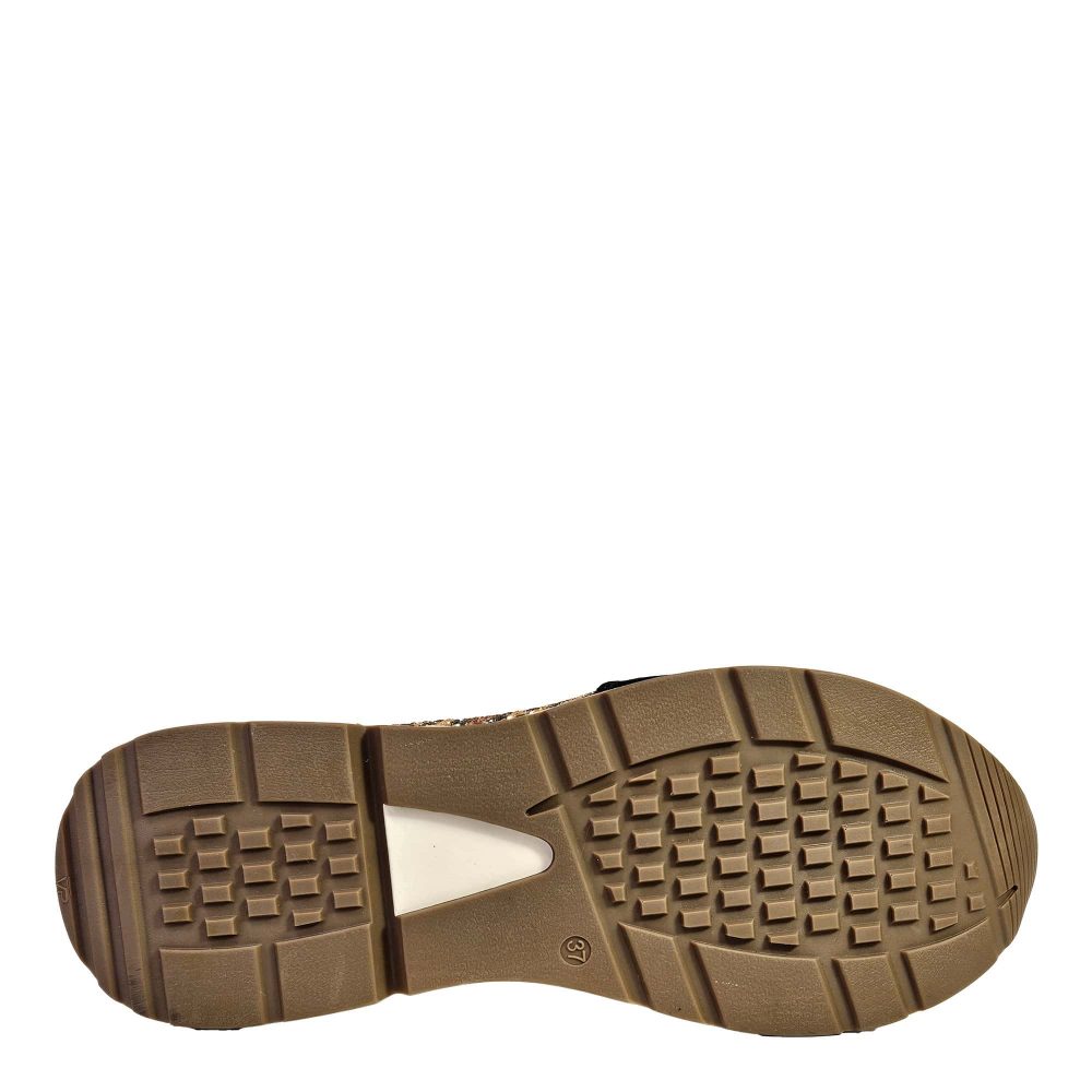 22124 Kiara sole